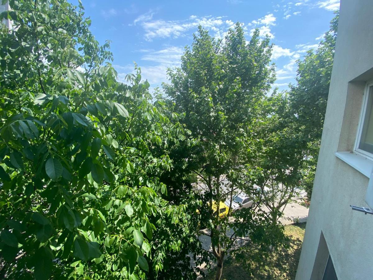 Piata Resita Host Apartment *