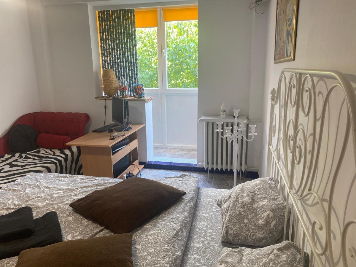 Apartment Piata Resita Host